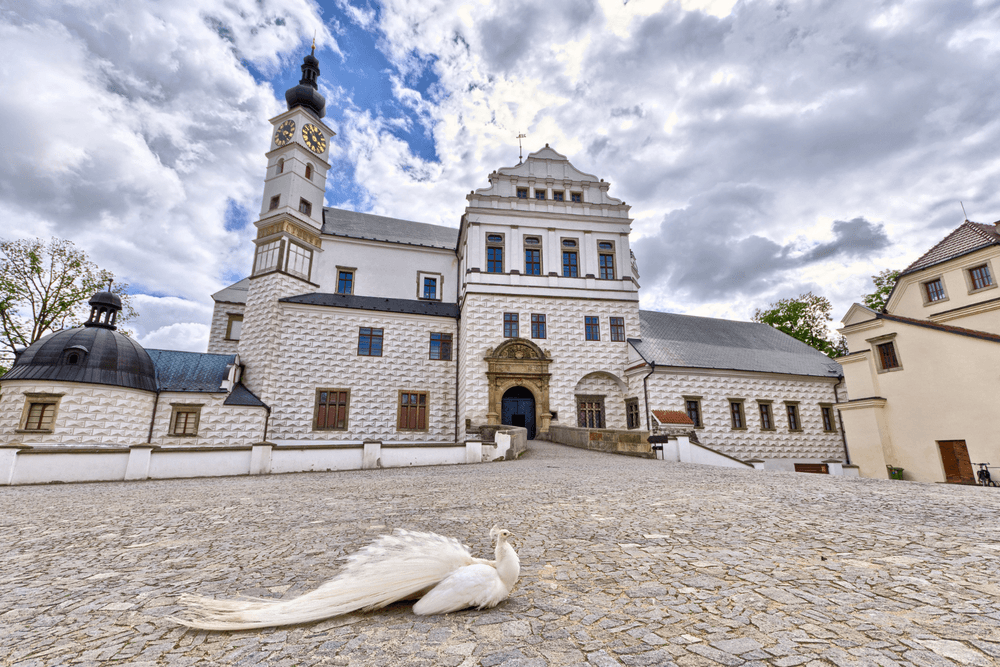 Produktový obrázek - Pardubice